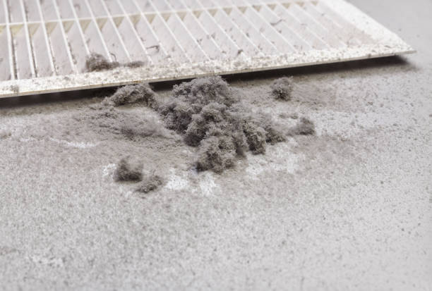 Best Best Air Duct Cleaning Near Me  in Oakland City, IN