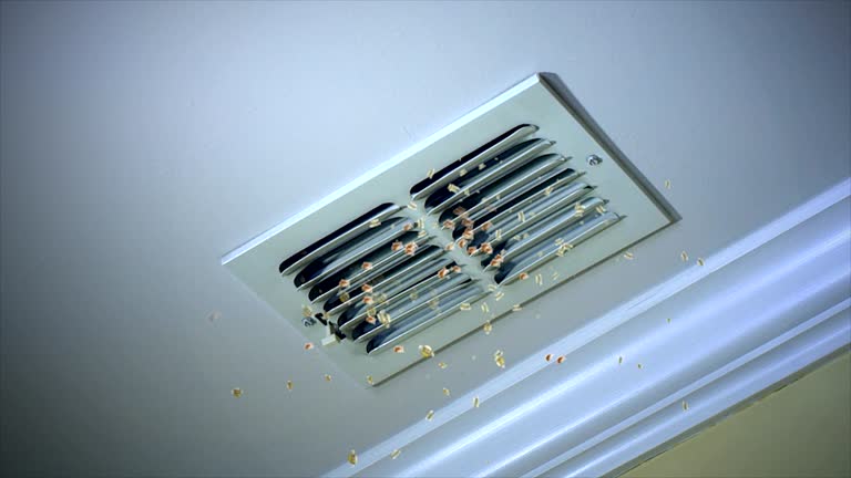 Best Emergency Air Duct Cleaning  in Oakland City, IN