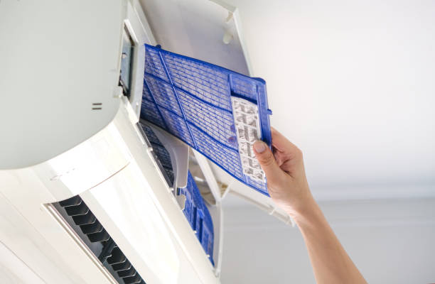 Best Air Duct Mold Removal  in Oakland City, IN